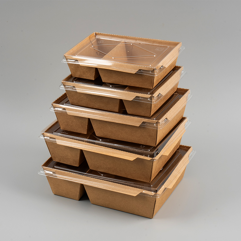 애완 동물 덮개가있는 이중 구획 크래프트 종이 상자